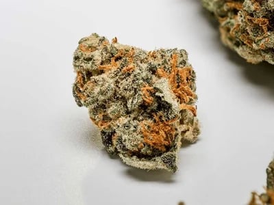 Premium Marijuana Delivered Everywhere – 420 Mail Order weed online