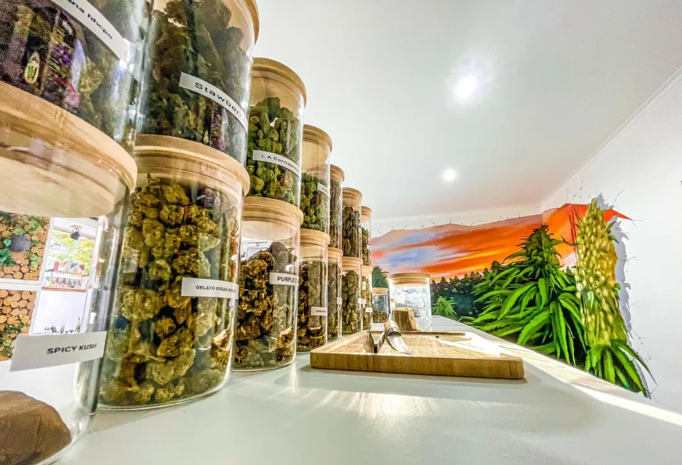 Elevate Your Wellness with Lab-Tested CBD Kush from Our EU Dispensary