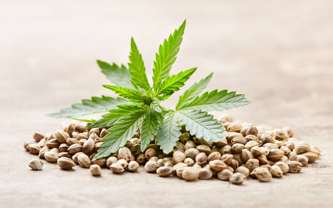 Cannabis for Sale Australia – Consumer Insights in Australia