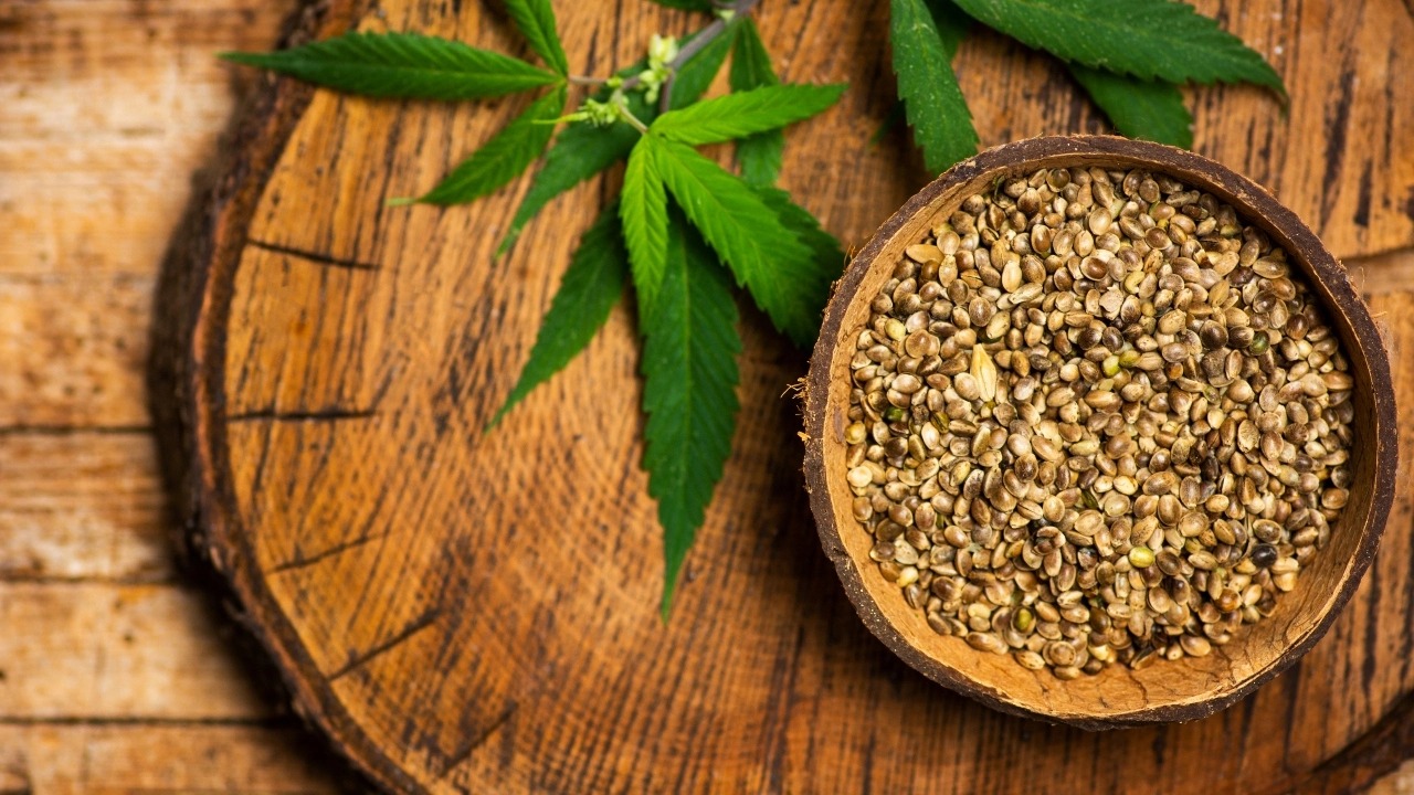 Cannabis for Sale Australia – Consumer Insights in Australia